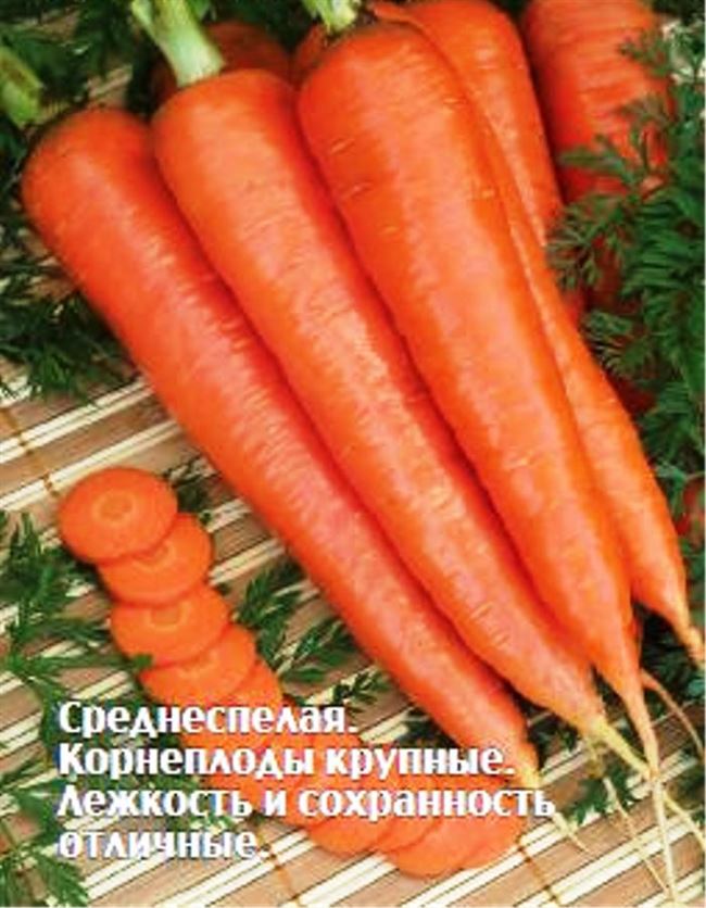 Морковь Хрустяшка (Седек)