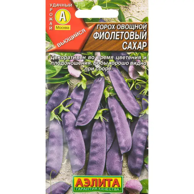 Горох Фиолетовый сахар — описание сорта, выращивание, семена, отзывы