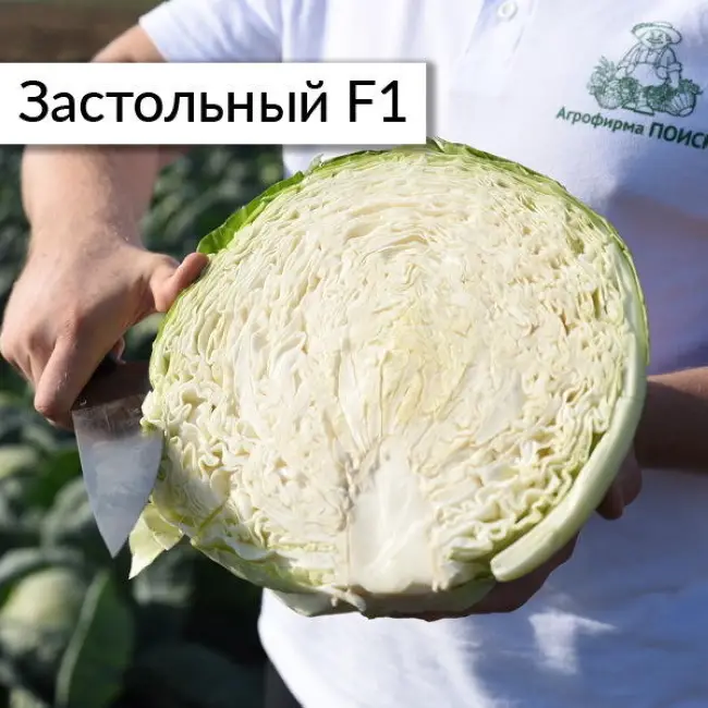 Капуста белокочанная Гарант F1 (garant f1 garant f1) 🌿 обзор: как сажать, семена капусты Гарант F1 — YouTube