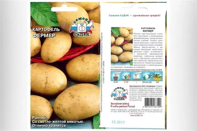 Сорт картофеля «Белоснежка» – описание и фото