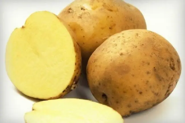 Сорта картофеля для Брянской области — список рекомендуемых. Название, фото, описание и подробные характеристики каждого сорта. Узнайте, какие сорта картофеля лучше выращивать в Брянской области.
