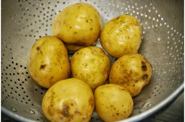 Сорт картофеля «Вираж» – описание и фото