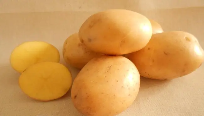 Картофель Кузовок | Сорта картофеля