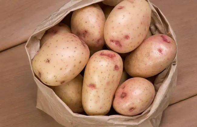 Картофель Купец | Сорта картофеля