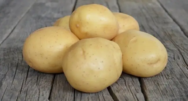 Картофель Ресурс | Сорта картофеля