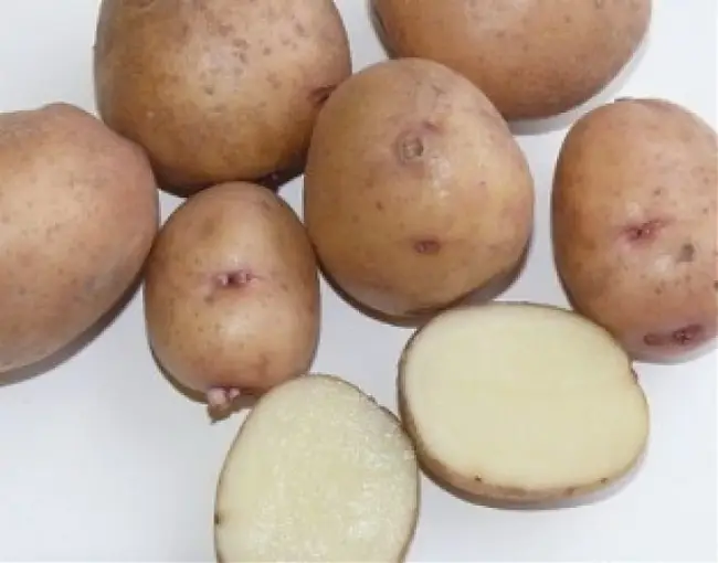 Узнайте особенности посадки, выращивания и уборки картофеля Саровский, а также описание сорта, фото и отзывы об урожайности. Рассмотрим характеристики плодов и их вкусовые качества.