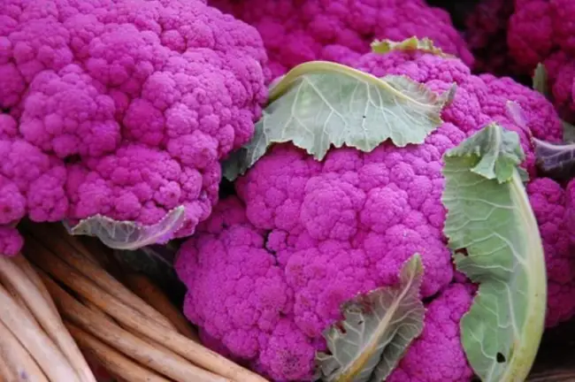 Семена Седек капуста цветная «Пурпурная головушка» — «Пурпурная головушка — необычный сорт цветной капусты. Рецепт тако с маринованным луком и греческим йогуртом. » | отзывы