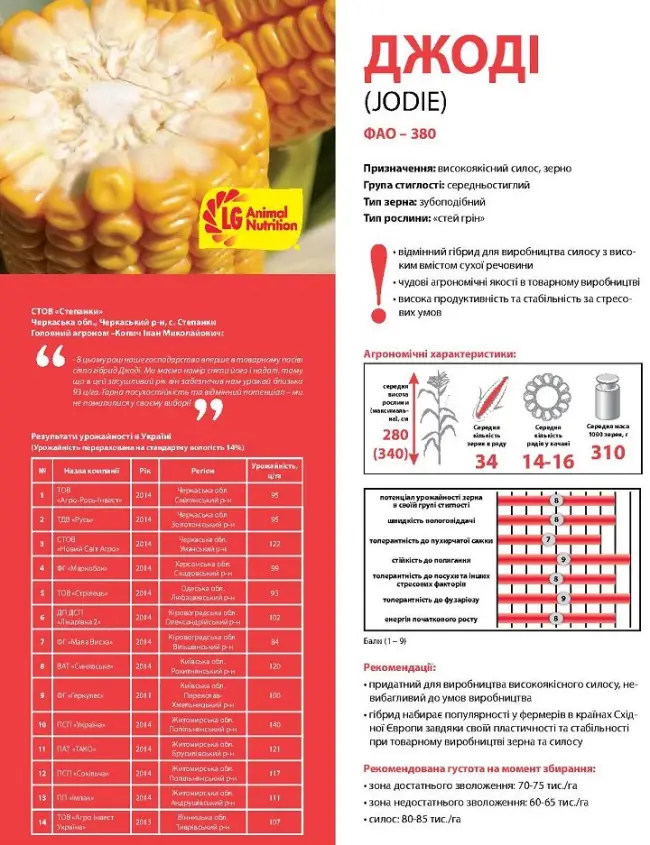ДЖОДИ(ФАО 380) гибрид кукурузы ЛИМАГРЕЙН (Limagrain)