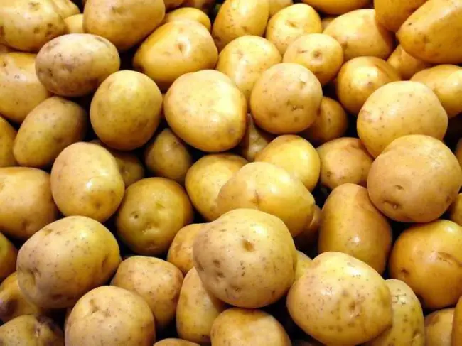 Картофель Дамарис (Damaris) | Сорта картофеля