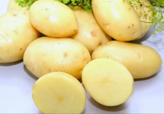 Картофель латона описание сорта — Изо всех произрастающих на нашей планете овощей картофель, без преувеличения, является самым востребованным и популярным. Мы не обходимся без него в повседневной жизни, он является желанным гостем на праздничном столе.