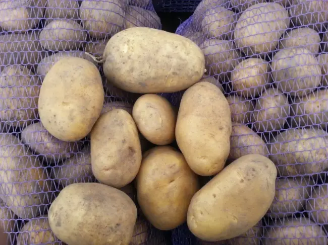 Сорт картофеля «Реал» – описание и фото