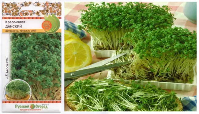 Чем подкормить кресс-салат — How to Grow Watercress (with Pictures) — wikiHow