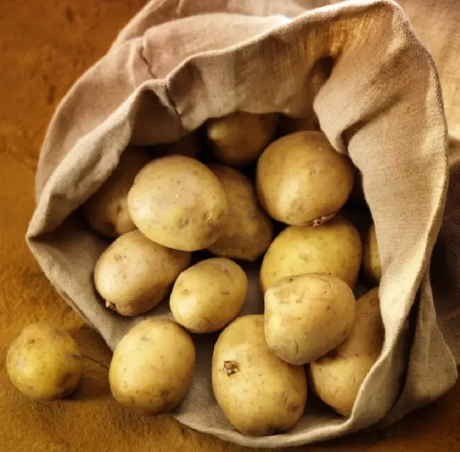 Характеристика сорта картофеля алена фото
