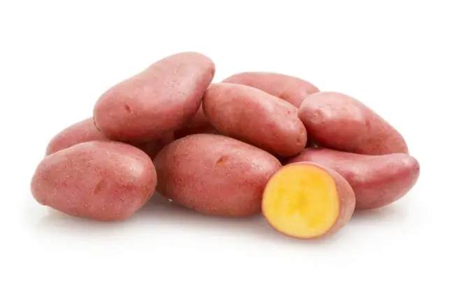 Сорт картофеля Альвара: характеристика и описание, фото, отзывы