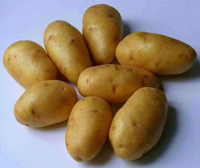 Картофель удалец описание сорта — Самые урожайные и самые вкусные сорта картофеля. Что подойдёт для жарки или варки, а что — для приготовления салата. Что влияет на вкус и как вырастить вкусный картофель.