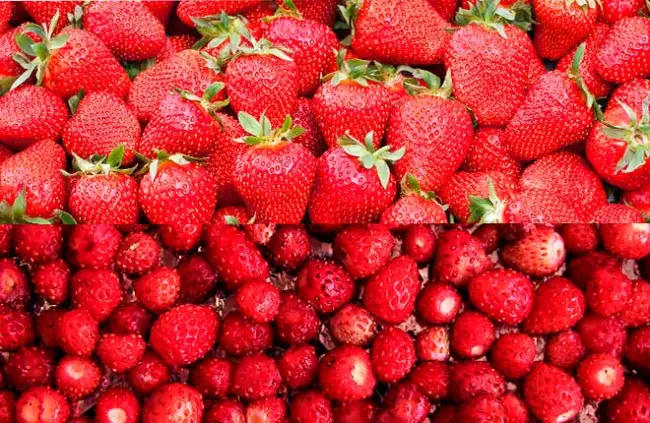 Клубника – это одна из самых популярных ягод, которая пользуется особым спросом среди отечественных дачников и садоводов. Она отличается невероятными