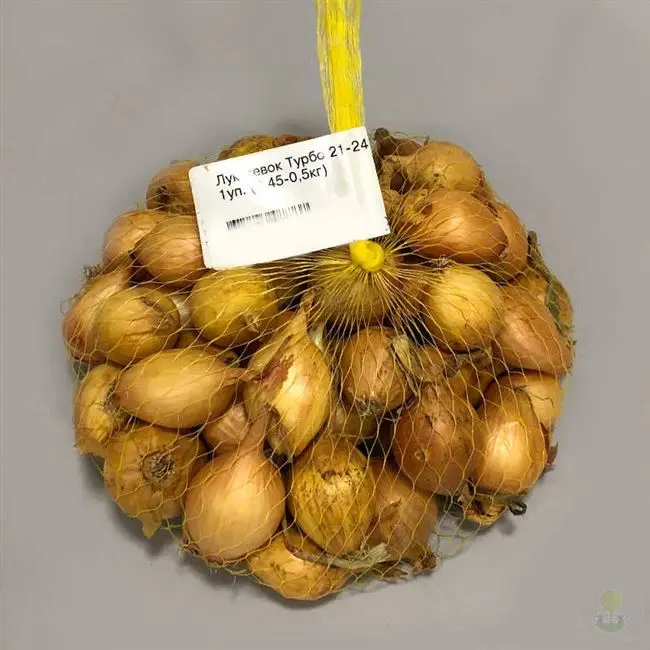 Желтый лук Турбо: описание сорта, фото, отзывы