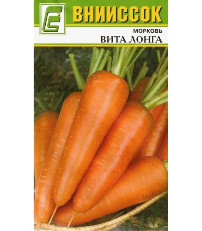 Высокий спрос на морковь сорта Вита Лонга обусловлен положительными характеристиками и многочисленными достоинствами растения. Выращивание.