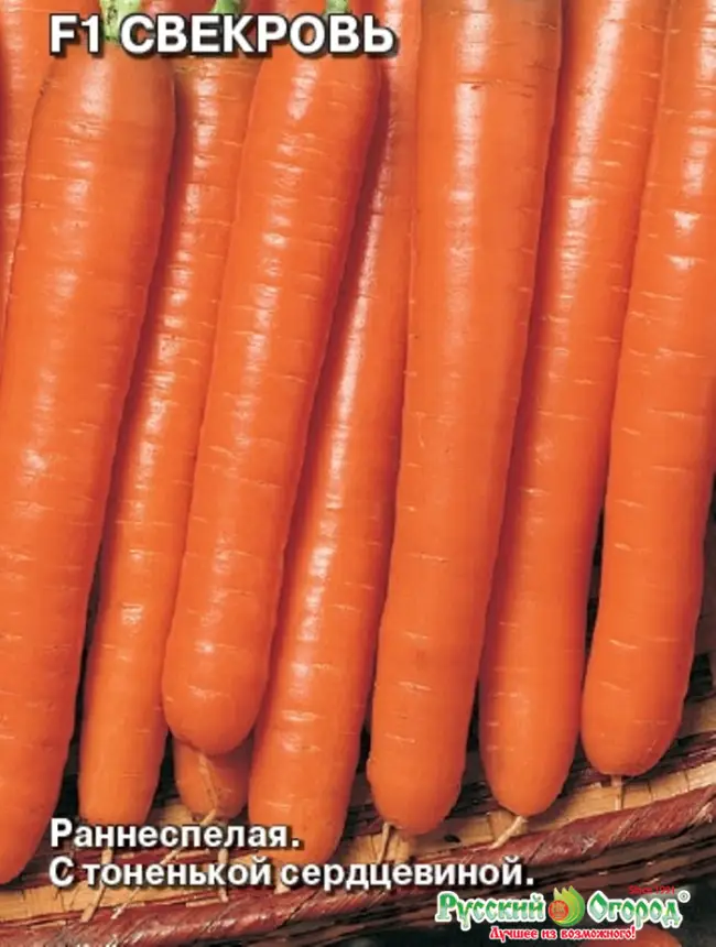 Канберра — сорт растения Морковь