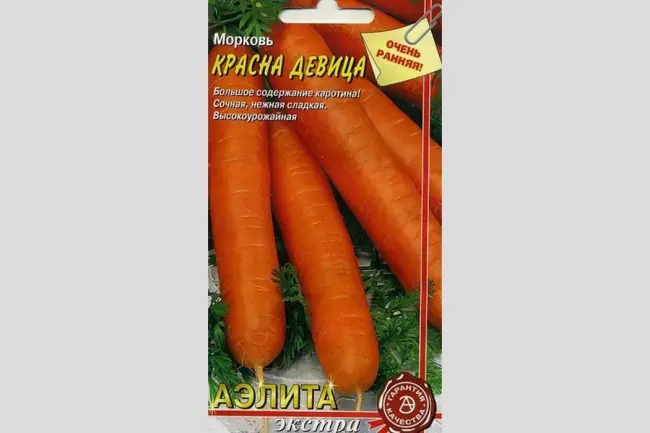 Морковь Красна Девица