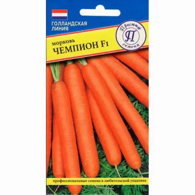 Олимпо — сорт растения Морковь