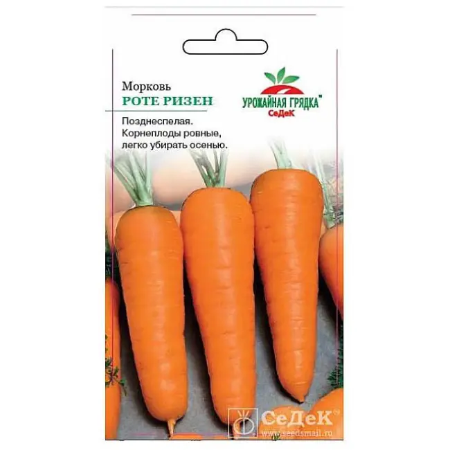 Морковь роте ризен описание сорта — Морковь Красный великан: описание, фото, отзывы