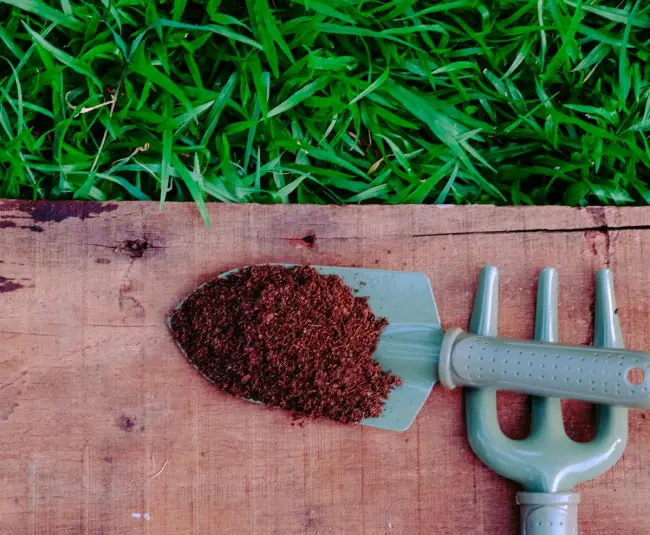 Улучшить качество грунта на приусадебном участке можно при помощи качественного компоста, приготовленного своими руками из отходов. рекомендации по способам использования.