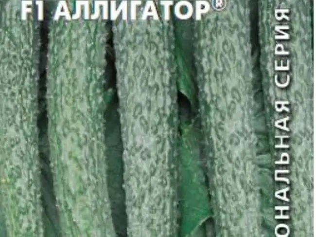 Огурец Аллигатор 2 F1 семена — низкая цена, описание, отзывы, продажа