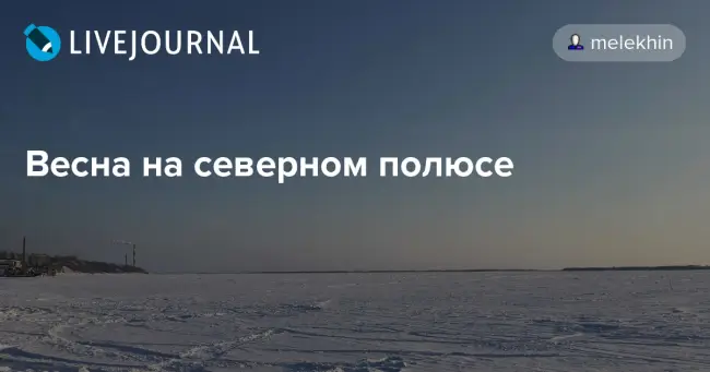 Огурцы Северный полюс f1: описание сорта, фото, отзывы