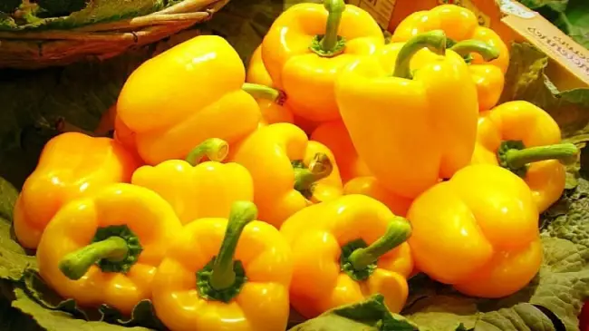 Перец Желтый колокол: описание сорта, характеристика плодов, агротехника выращивания и ухода