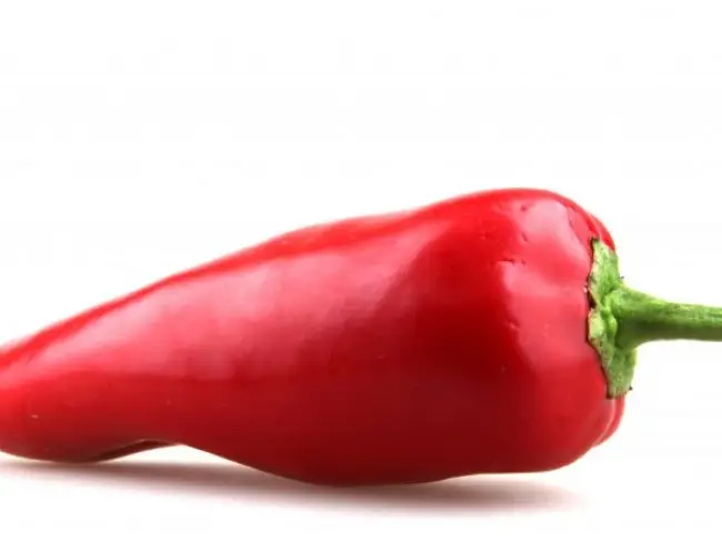 Характеристика острого перца сорта Красный Толстяк